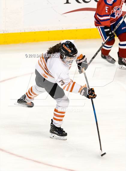 Thumbnail 1 in Woburn Memorial vs. Tewksbury/Methuen (MIAA Division 1 Final) photogallery.