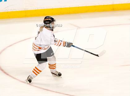 Thumbnail 2 in Woburn Memorial vs. Tewksbury/Methuen (MIAA Division 1 Final) photogallery.