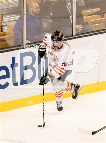 Thumbnail 1 in Woburn Memorial vs. Tewksbury/Methuen (MIAA Division 1 Final) photogallery.