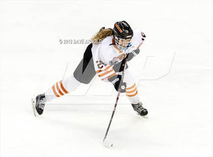 Thumbnail 2 in Woburn Memorial vs. Tewksbury/Methuen (MIAA Division 1 Final) photogallery.