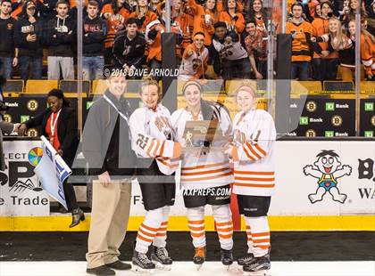 Thumbnail 1 in Woburn Memorial vs. Tewksbury/Methuen (MIAA Division 1 Final) photogallery.