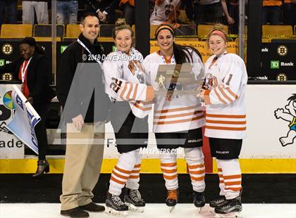 Thumbnail 2 in Woburn Memorial vs. Tewksbury/Methuen (MIAA Division 1 Final) photogallery.