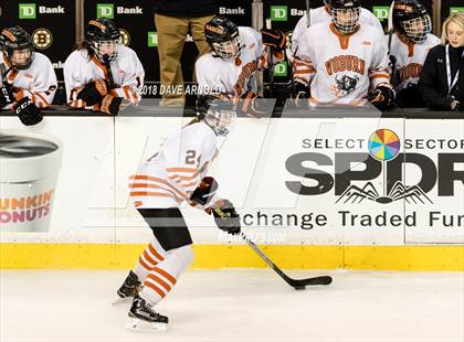 Thumbnail 2 in Woburn Memorial vs. Tewksbury/Methuen (MIAA Division 1 Final) photogallery.