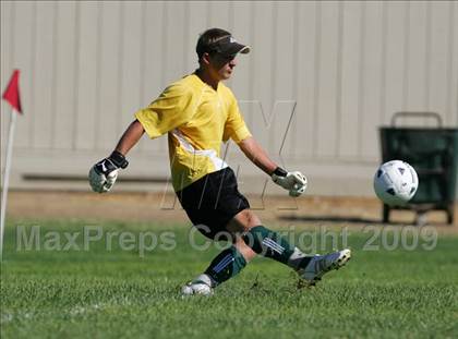 Thumbnail 2 in Sonora vs Chavez (Timberwolves Cup) photogallery.