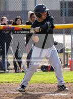 Photo from the gallery "Foothill @ Monterey Trail"