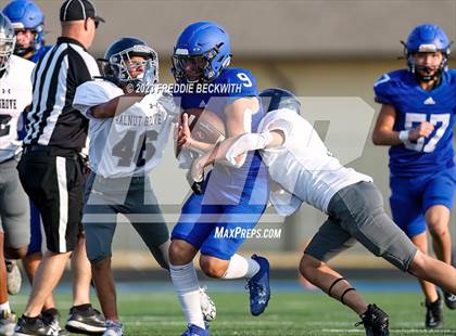 Thumbnail 3 in Walnut Grove @ Gunter photogallery.