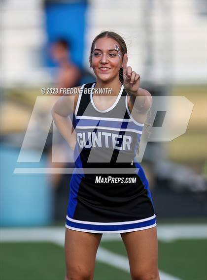Thumbnail 3 in Walnut Grove @ Gunter photogallery.