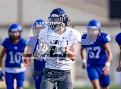 Thumbnail 2 in Walnut Grove @ Gunter photogallery.