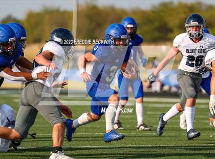 Thumbnail 2 in Walnut Grove @ Gunter photogallery.