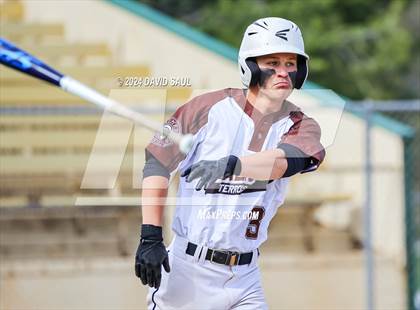 Thumbnail 3 in Harrison @ Palmer photogallery.