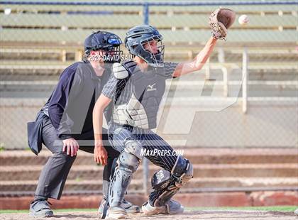 Thumbnail 3 in Harrison @ Palmer photogallery.