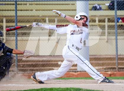 Thumbnail 3 in Harrison @ Palmer photogallery.