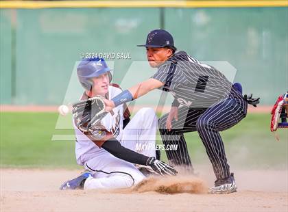 Thumbnail 1 in Harrison @ Palmer photogallery.