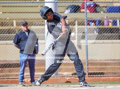 Thumbnail 3 in Harrison @ Palmer photogallery.