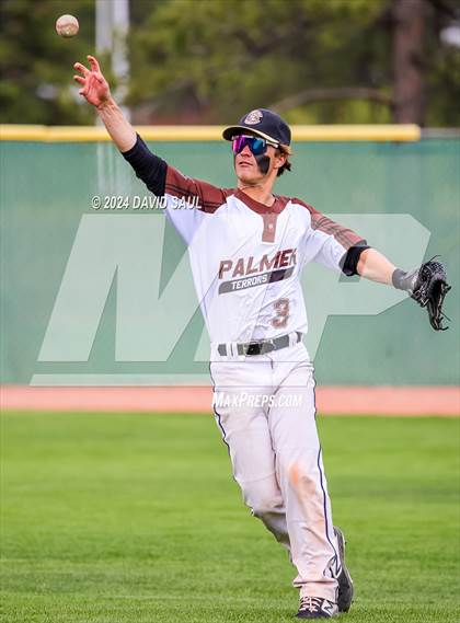 Thumbnail 3 in Harrison @ Palmer photogallery.