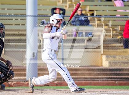 Thumbnail 3 in Harrison @ Palmer photogallery.