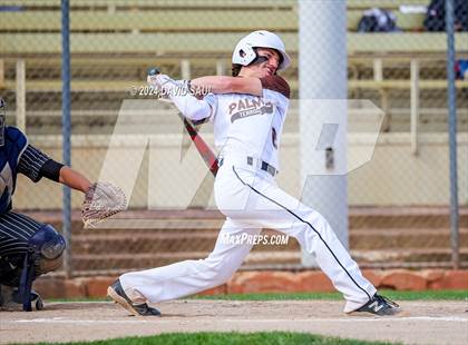 Thumbnail 3 in Harrison @ Palmer photogallery.