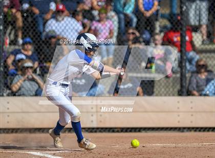 Thumbnail 2 in Cherokee Trail vs. Legend (CHSAA 5A Final) photogallery.