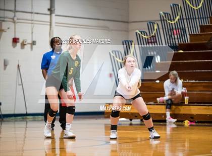 Thumbnail 3 in Pine Forest @ Cape Fear photogallery.