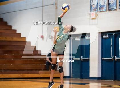 Thumbnail 3 in Pine Forest @ Cape Fear photogallery.