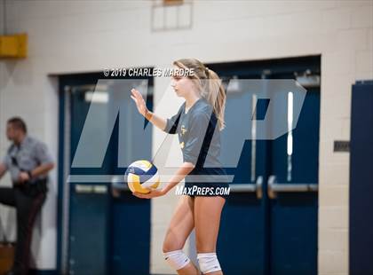 Thumbnail 3 in Pine Forest @ Cape Fear photogallery.