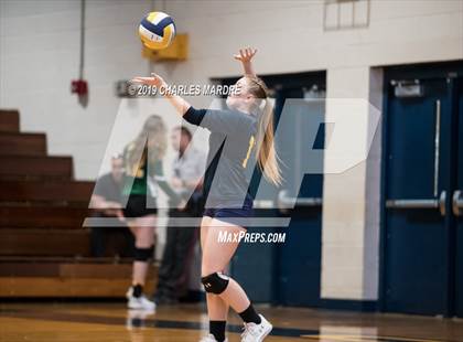 Thumbnail 1 in Pine Forest @ Cape Fear photogallery.