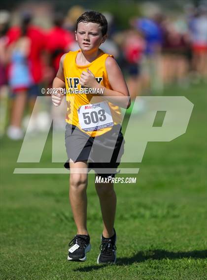 Thumbnail 1 in New Albany XC Classic photogallery.