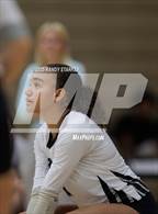 Photo from the gallery "Estero @ Mariner"