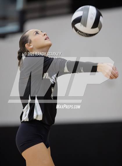 Thumbnail 1 in Estero @ Mariner photogallery.