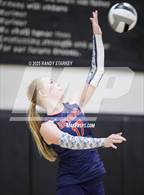 Photo from the gallery "Estero @ Mariner"