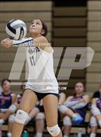 Photo from the gallery "Estero @ Mariner"