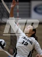 Photo from the gallery "Estero @ Mariner"