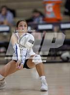 Photo from the gallery "Estero @ Mariner"