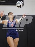 Photo from the gallery "Estero @ Mariner"