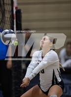 Photo from the gallery "Estero @ Mariner"