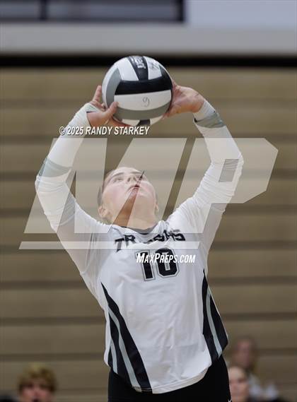 Thumbnail 3 in Estero @ Mariner photogallery.