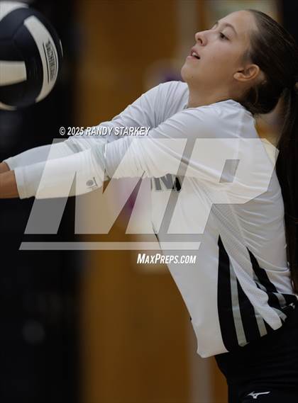 Thumbnail 3 in Estero @ Mariner photogallery.