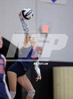 Photo from the gallery "Estero @ Mariner"