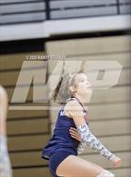 Photo from the gallery "Estero @ Mariner"