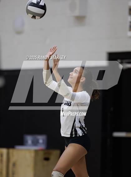 Thumbnail 3 in Estero @ Mariner photogallery.