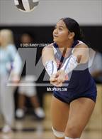 Photo from the gallery "Estero @ Mariner"