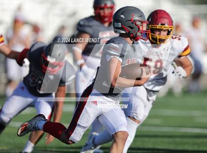 Thumbnail 2 in Brush @ Arvada photogallery.