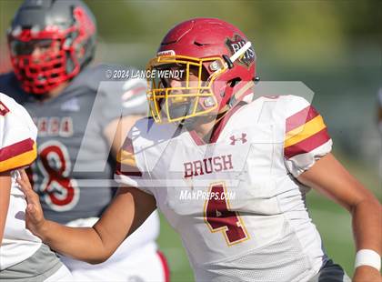 Thumbnail 2 in Brush @ Arvada photogallery.
