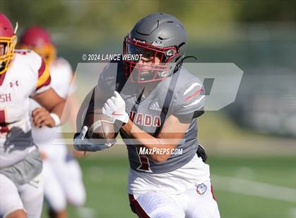 Thumbnail 1 in Brush @ Arvada photogallery.