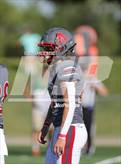 Photo from the gallery "Brush @ Arvada"