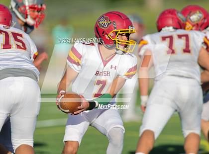 Thumbnail 1 in Brush @ Arvada photogallery.