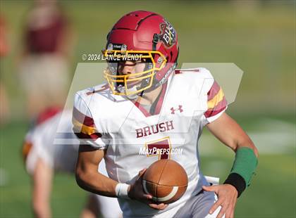 Thumbnail 1 in Brush @ Arvada photogallery.