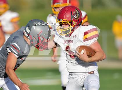 Thumbnail 3 in Brush @ Arvada photogallery.