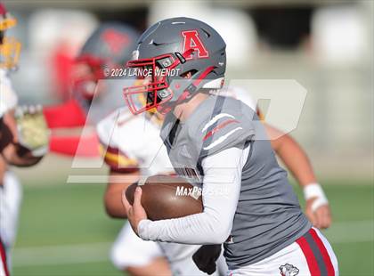 Thumbnail 1 in Brush @ Arvada photogallery.
