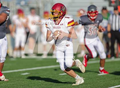 Thumbnail 2 in Brush @ Arvada photogallery.